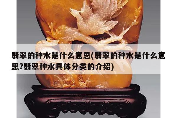 翡翠的种水是什么意思(翡翠的种水是什么意思?翡翠种水具体分类的介绍)