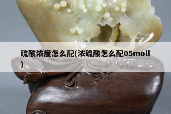 硫酸浓度怎么配(浓硫酸怎么配05moll)