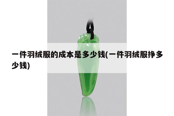 一件羽绒服的成本是多少钱(一件羽绒服挣多少钱)