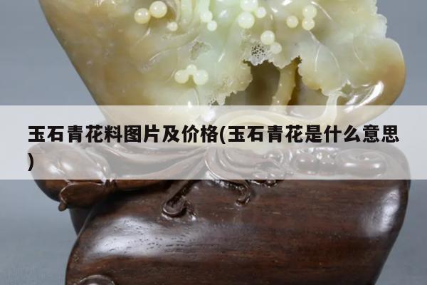 玉石青花料图片及价格(玉石青花是什么意思)