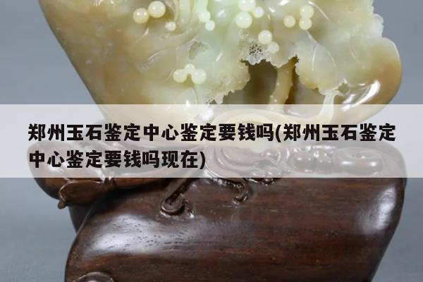 郑州玉石鉴定中心鉴定要钱吗(郑州玉石鉴定中心鉴定要钱吗现在)