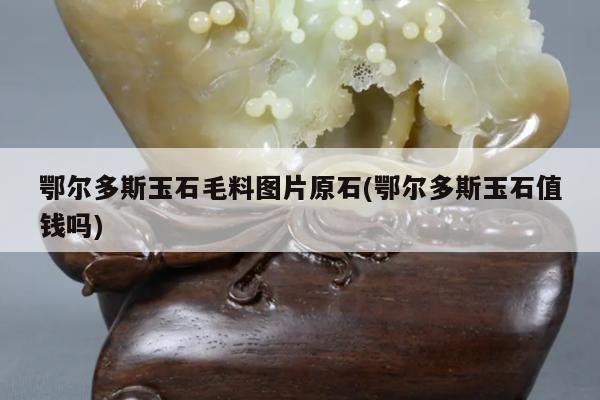鄂尔多斯玉石毛料图片原石(鄂尔多斯玉石值钱吗)