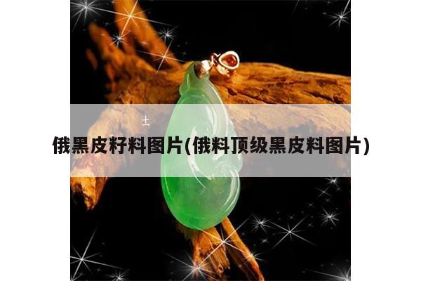 俄黑皮籽料图片(俄料顶级黑皮料图片)