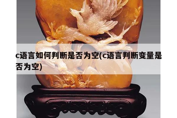 c语言如何判断是否为空(c语言判断变量是否为空)