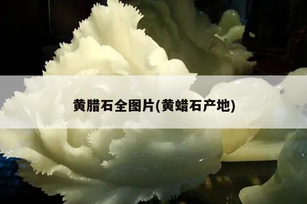 黄腊石全图片(黄蜡石产地)