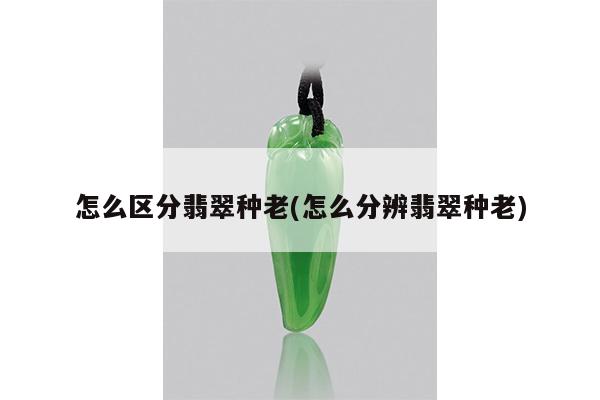 怎么区分翡翠种老(怎么分辨翡翠种老)
