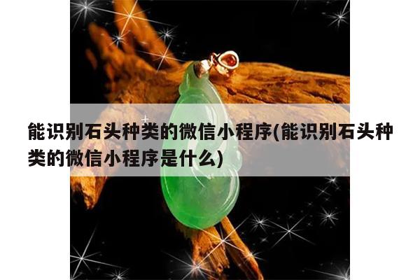 能识别石头种类的微信小程序(能识别石头种类的微信小程序是什么)