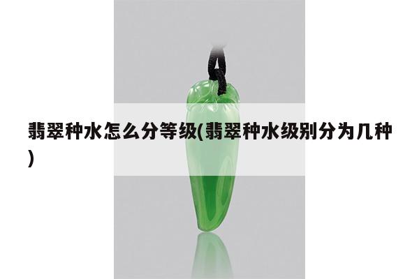 翡翠种水怎么分等级(翡翠种水级别分为几种)