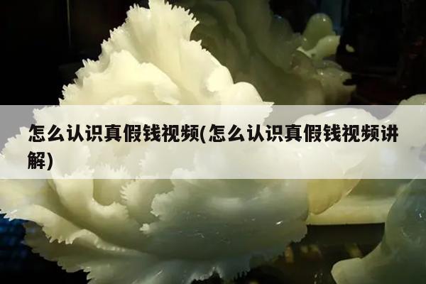 怎么认识真假钱视频(怎么认识真假钱视频讲解)
