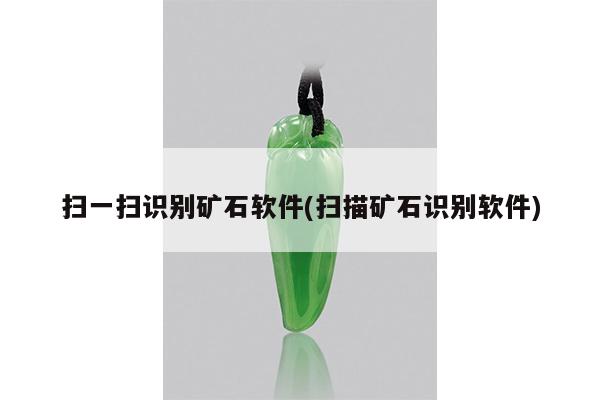 扫一扫识别矿石软件(扫描矿石识别软件)