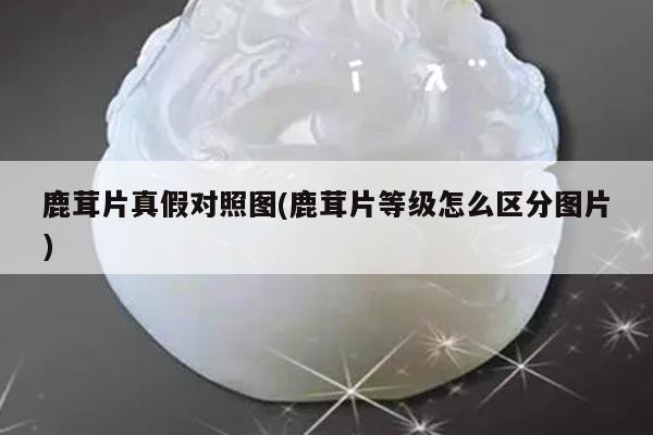 鹿茸片真假对照图(鹿茸片等级怎么区分图片)