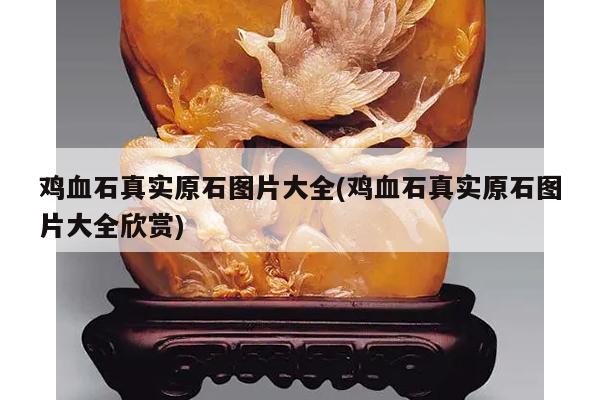 鸡血石真实原石图片大全(鸡血石真实原石图片大全欣赏)