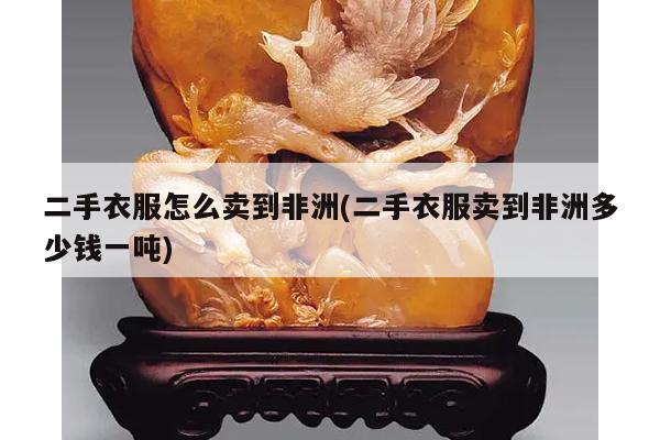 二手衣服怎么卖到非洲(二手衣服卖到非洲多少钱一吨)