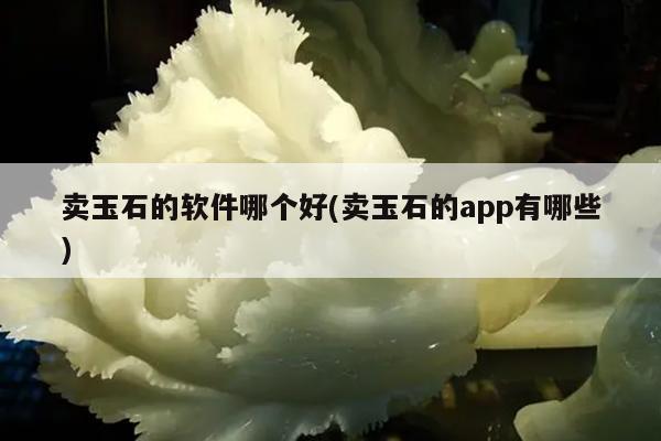 卖玉石的软件哪个好(卖玉石的app有哪些)