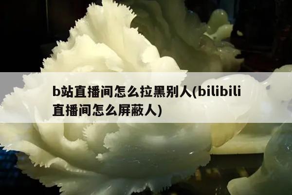b站直播间怎么拉黑别人(bilibili直播间怎么屏蔽人)