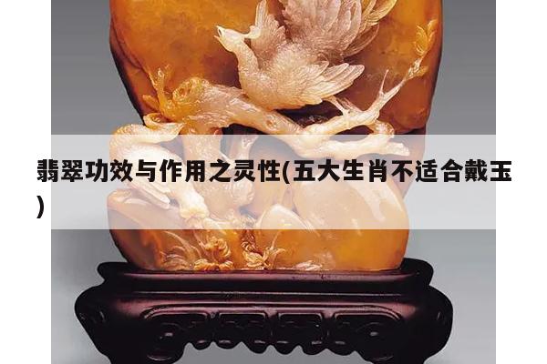 翡翠功效与作用之灵性(五大生肖不适合戴玉)