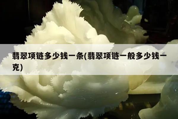 翡翠项链多少钱一条(翡翠项链一般多少钱一克)