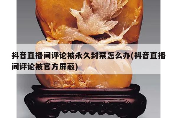 抖音直播间评论被永久封禁怎么办(抖音直播间评论被官方屏蔽)