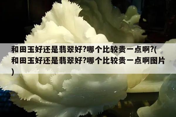 和田玉好还是翡翠好?哪个比较贵一点啊?(和田玉好还是翡翠好?哪个比较贵一点啊图片)