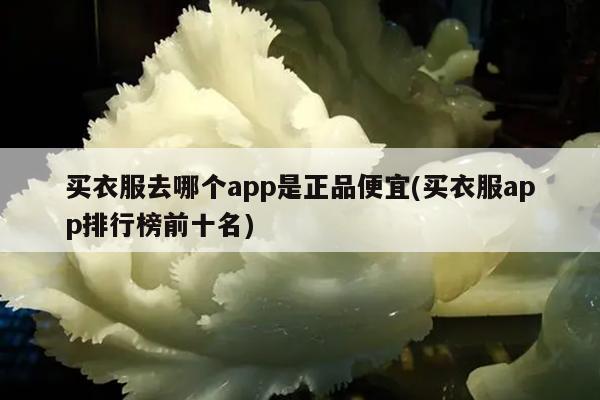 买衣服去哪个app是正品便宜(买衣服app排行榜前十名)