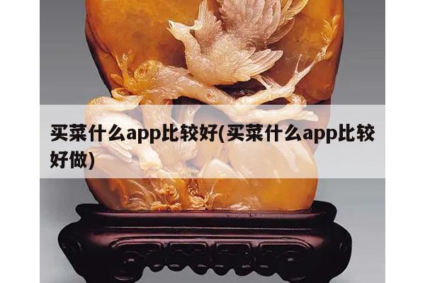 买菜什么app比较好(买菜什么app比较好做)