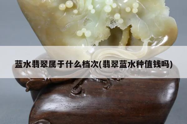 蓝水翡翠属于什么档次(翡翠蓝水种值钱吗)
