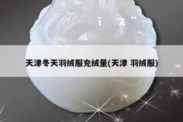 天津冬天羽绒服充绒量(天津 羽绒服)