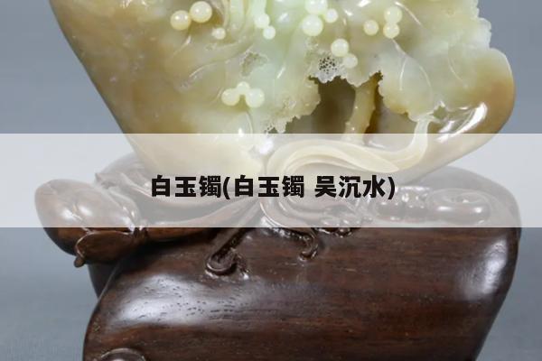 白玉镯(白玉镯 吴沉水)