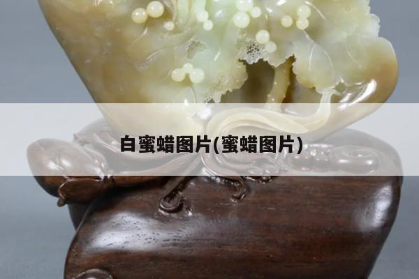 白蜜蜡图片(蜜蜡图片)