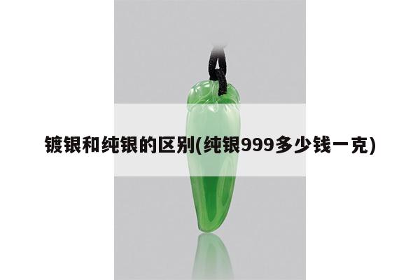 镀银和纯银的区别(纯银999多少钱一克)