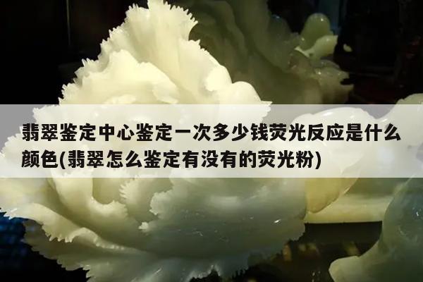 翡翠鉴定中心鉴定一次多少钱荧光反应是什么颜色(翡翠怎么鉴定有没有的荧光粉)