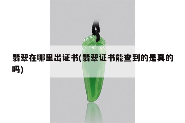 翡翠在哪里出证书(翡翠证书能查到的是真的吗)