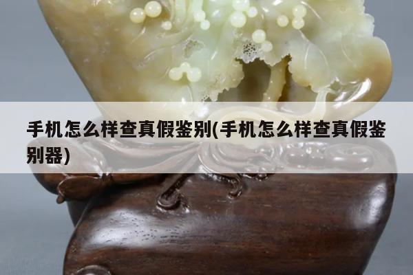 手机怎么样查真假鉴别(手机怎么样查真假鉴别器)
