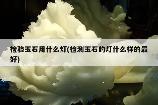 检验玉石用什么灯(检测玉石的灯什么样的最好)