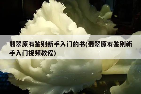 翡翠原石鉴别新手入门的书(翡翠原石鉴别新手入门视频教程)