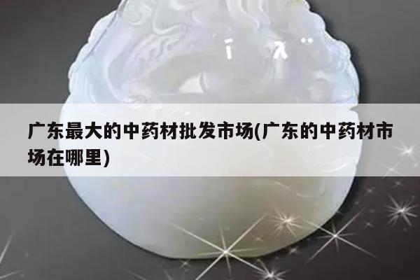 广东最大的中药材批发市场(广东的中药材市场在哪里)
