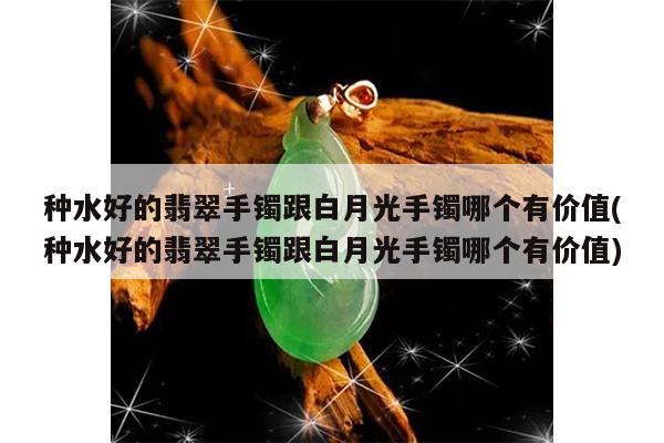 种水好的翡翠手镯跟白月光手镯哪个有价值(种水好的翡翠手镯跟白月光手镯哪个有价值)