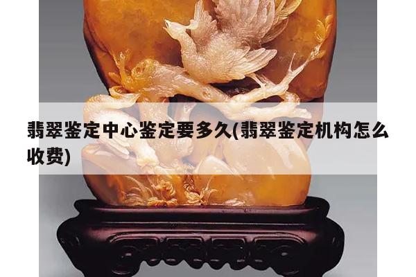 翡翠鉴定中心鉴定要多久(翡翠鉴定机构怎么收费)