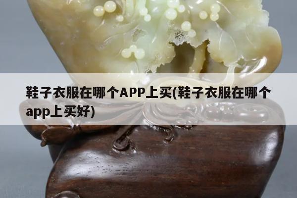鞋子衣服在哪个APP上买(鞋子衣服在哪个app上买好)
