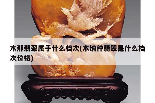 木那翡翠属于什么档次(木纳种翡翠是什么档次价格)