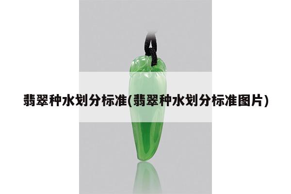 翡翠种水划分标准(翡翠种水划分标准图片)