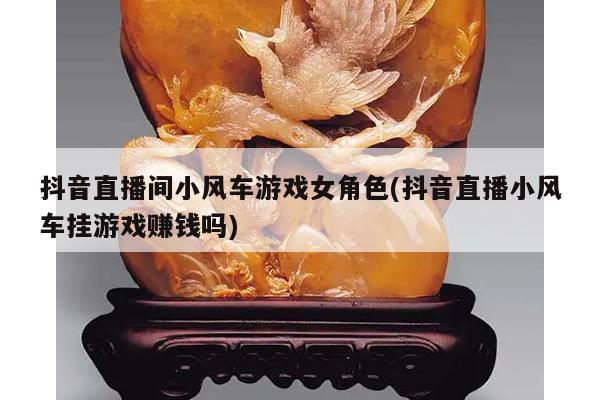 抖音直播间小风车游戏女角色(抖音直播小风车挂游戏赚钱吗)