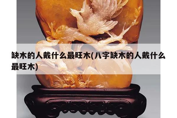 缺木的人戴什么最旺木(八字缺木的人戴什么最旺木)