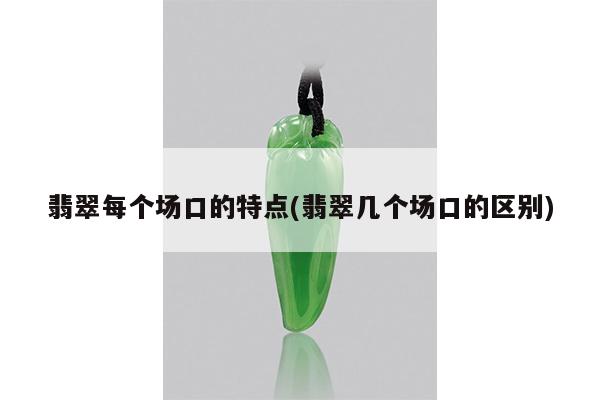 翡翠每个场口的特点(翡翠几个场口的区别)