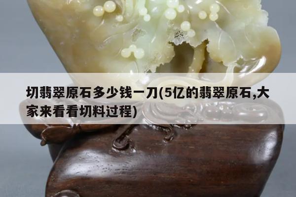 切翡翠原石多少钱一刀(5亿的翡翠原石,大家来看看切料过程)