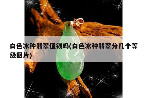 白色冰种翡翠值钱吗(白色冰种翡翠分几个等级图片)