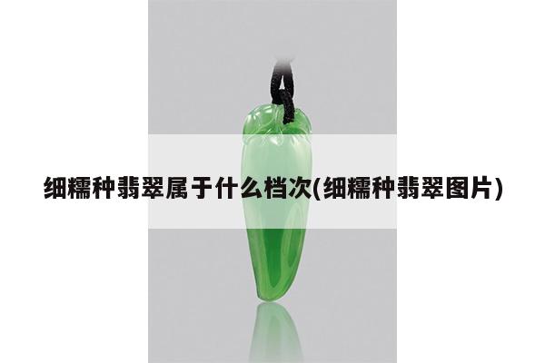 细糯种翡翠属于什么档次(细糯种翡翠图片)