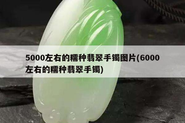 5000左右的糯种翡翠手镯图片(6000左右的糯种翡翠手镯)