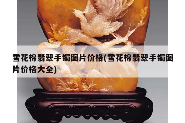 雪花棉翡翠手镯图片价格(雪花棉翡翠手镯图片价格大全)