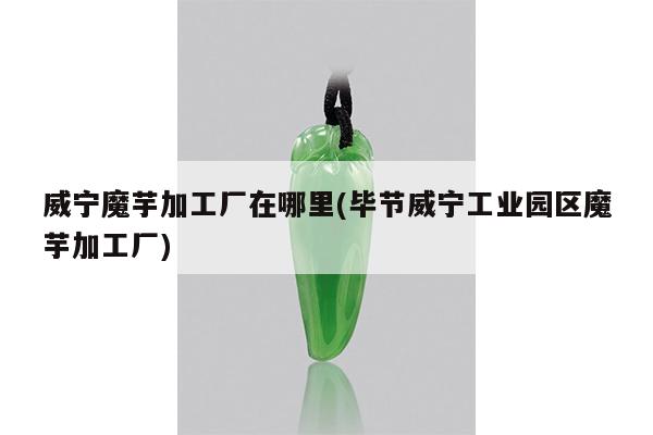 威宁魔芋加工厂在哪里(毕节威宁工业园区魔芋加工厂)